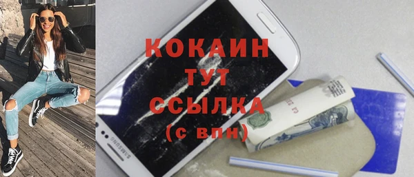 стаф Аркадак